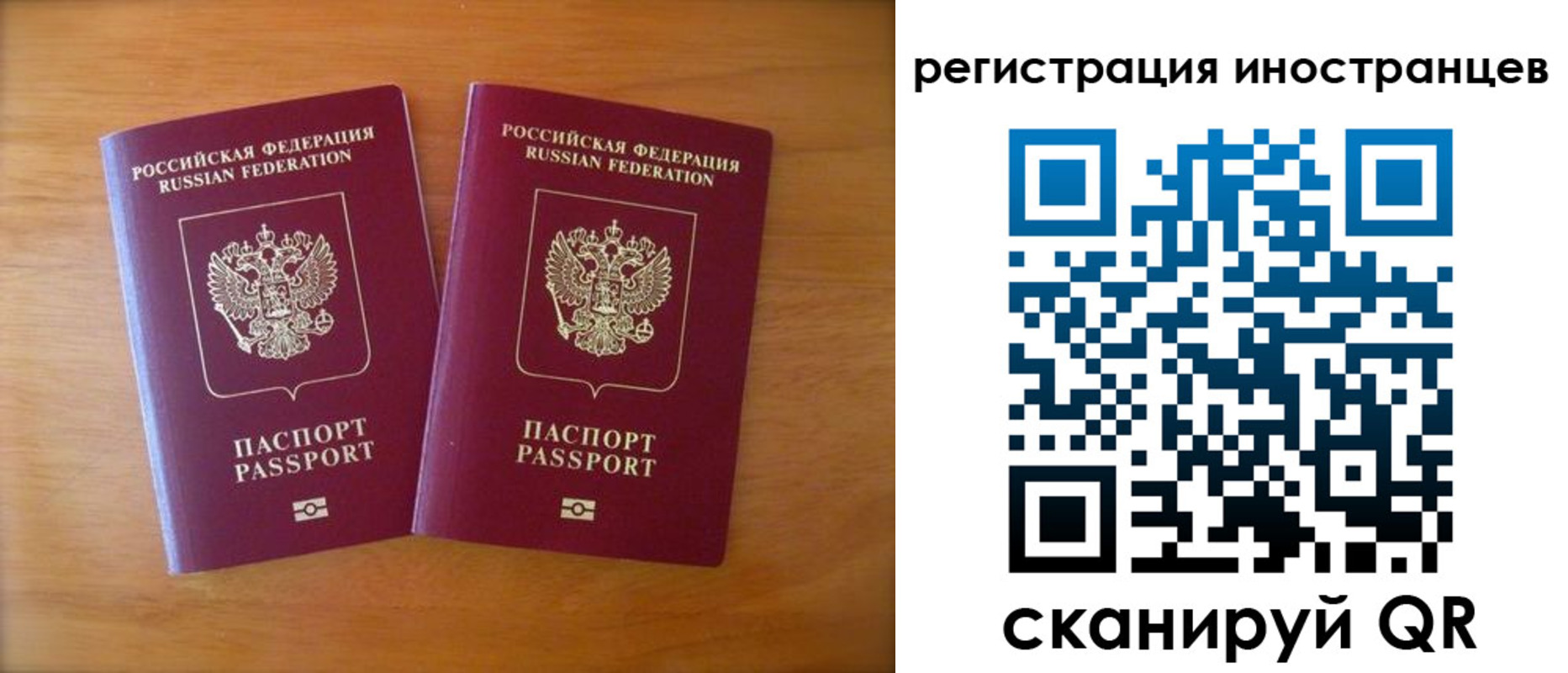 прописка поиск в Воронежской области